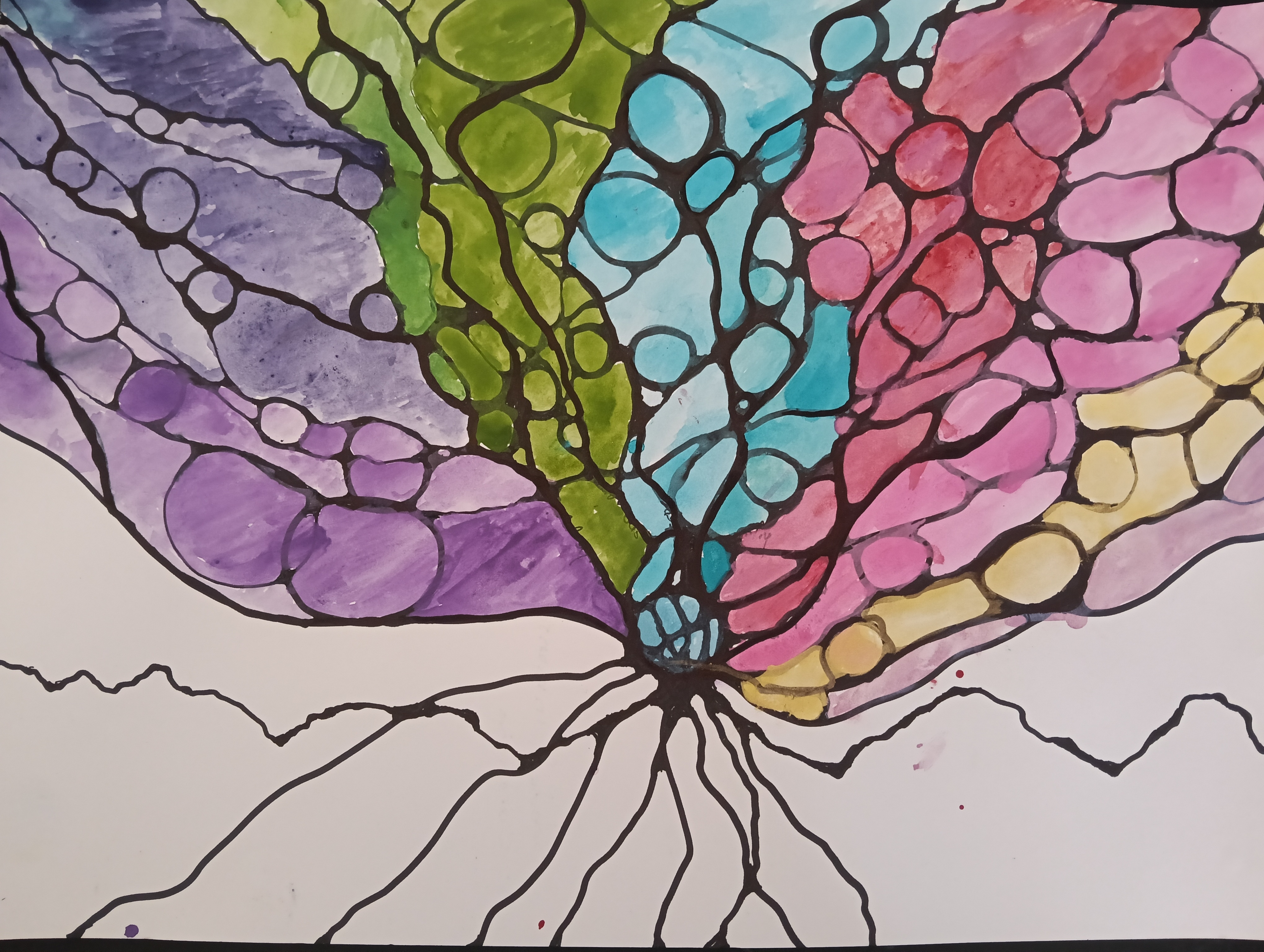Neurografía 04